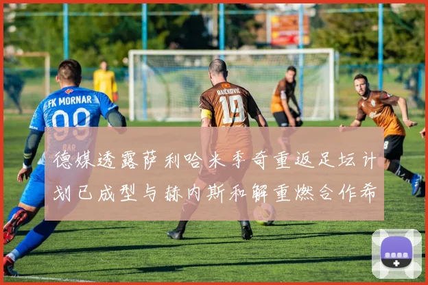 德媒透露萨利哈米季奇重返足坛计划已成型与赫内斯和解重燃合作希望