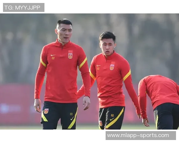 法比奥咨询归化国足事宜遗憾失去机会引发关注 法比奥咨询归化国足事宜遗憾失去机会引发关注